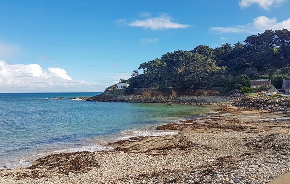 صيد الأسماك