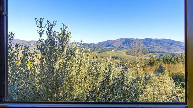 A view through a window of a mountainous landscape with olive trees in the foreground. - Cozy apartment nestled in the Chianti hills 10 km from Florence (Toscana)