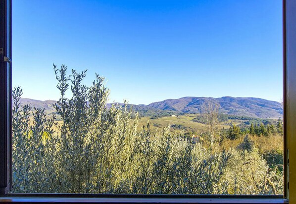 Interior - Cozy apartment nestled in the Chianti hills 10 km from Florence (Toscana)