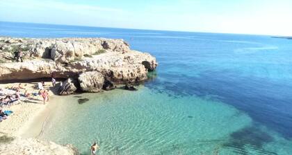 mini-apartments in condominium, recent and elegant construction m350 from the sea