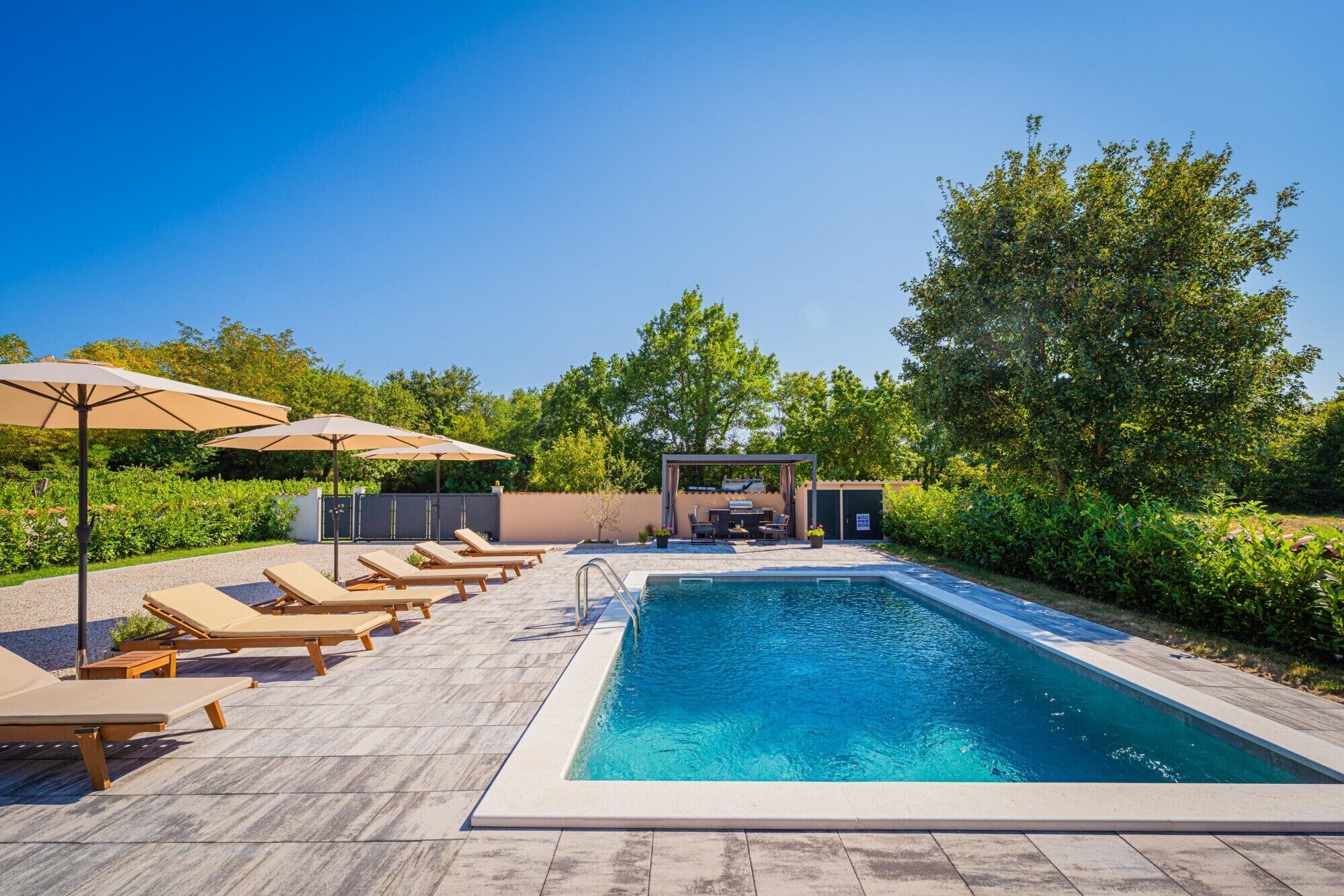 Une piscine entourée de verdure, avec des chaises longues et des parasols.