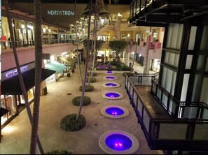 Property grounds - Miami Luxe 4BR Pool Retreat (Miami)