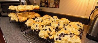 2 Bedroom Basement Apartment 