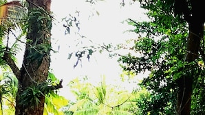 A rustic red building with a cobblestone pathway leading to it, surrounded by trees and potted plants. - Sunzal Bungalows (Tamanique)