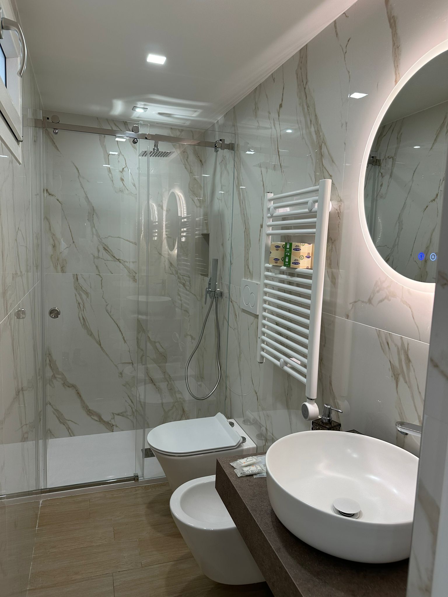 Shower, hair dryer, bidet, towels