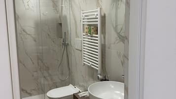 Shower, hair dryer, bidet, towels