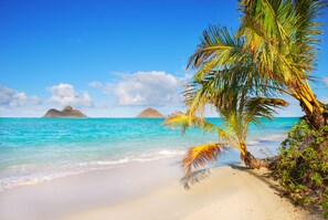 Una playa con agua turquesa cristalina, arena dorada y palmeras.
