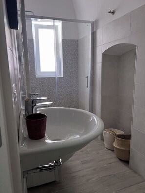 Shower, hair dryer, bidet, towels