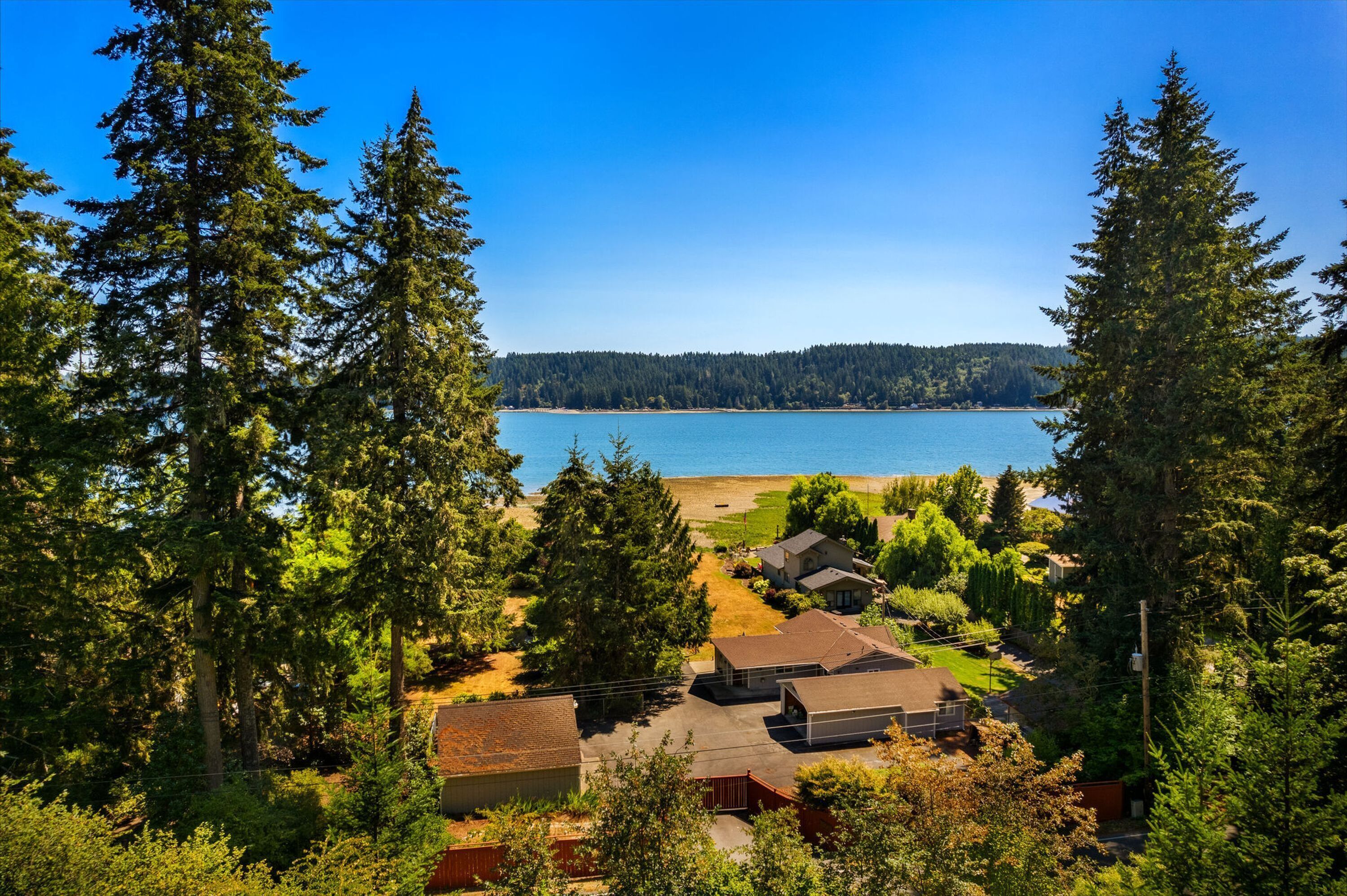 A residential area with houses, a beach, and a forested area.