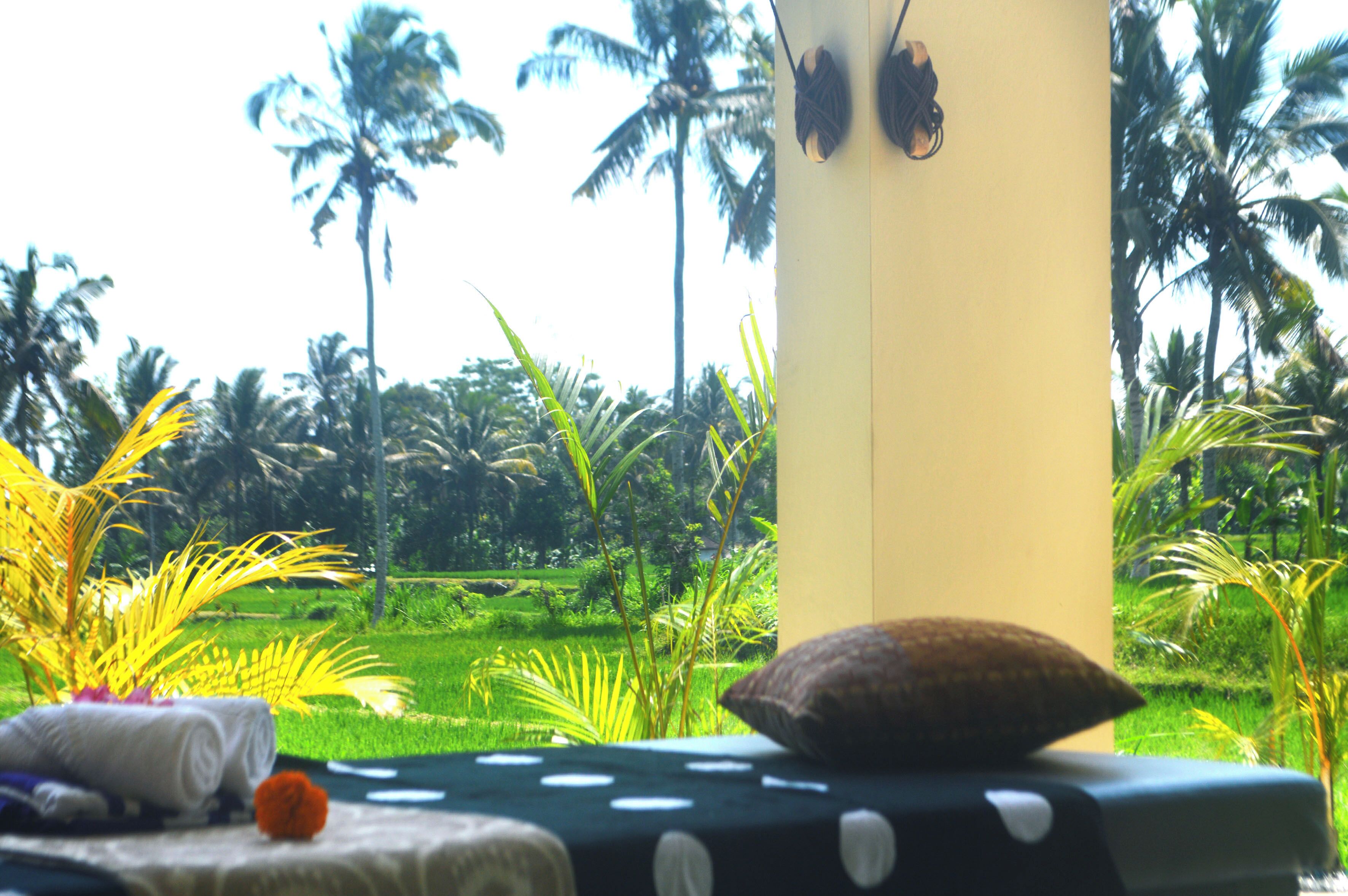 Área de tratamento externa, tratamentos corporais, aromaterapia