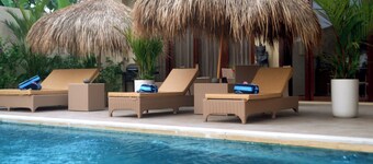 Gilded Palms Villa, Ubud Payangan, Bali