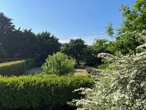 A garden with various trees and shrubs, a clear sky, and a pathway.