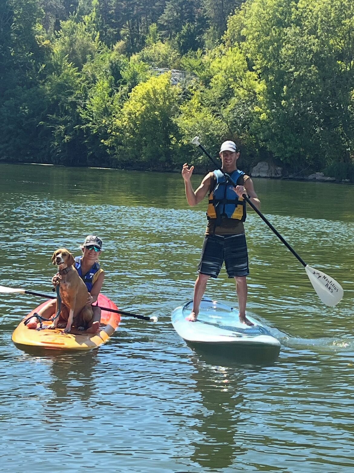 Two people on paddleboards in a calm body of water, surrounded by lush greenery.