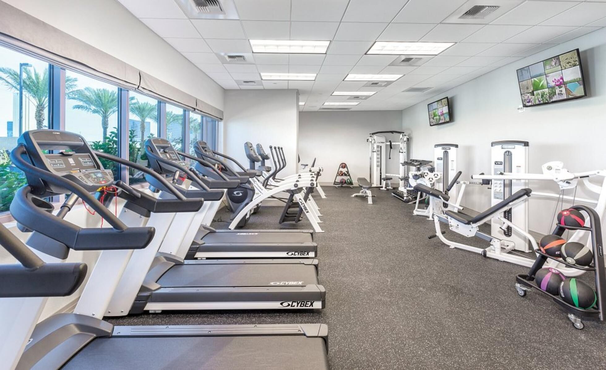 Ein Fitnessstudio mit Laufbändern, Kraftgeräten und Übungsbällen.