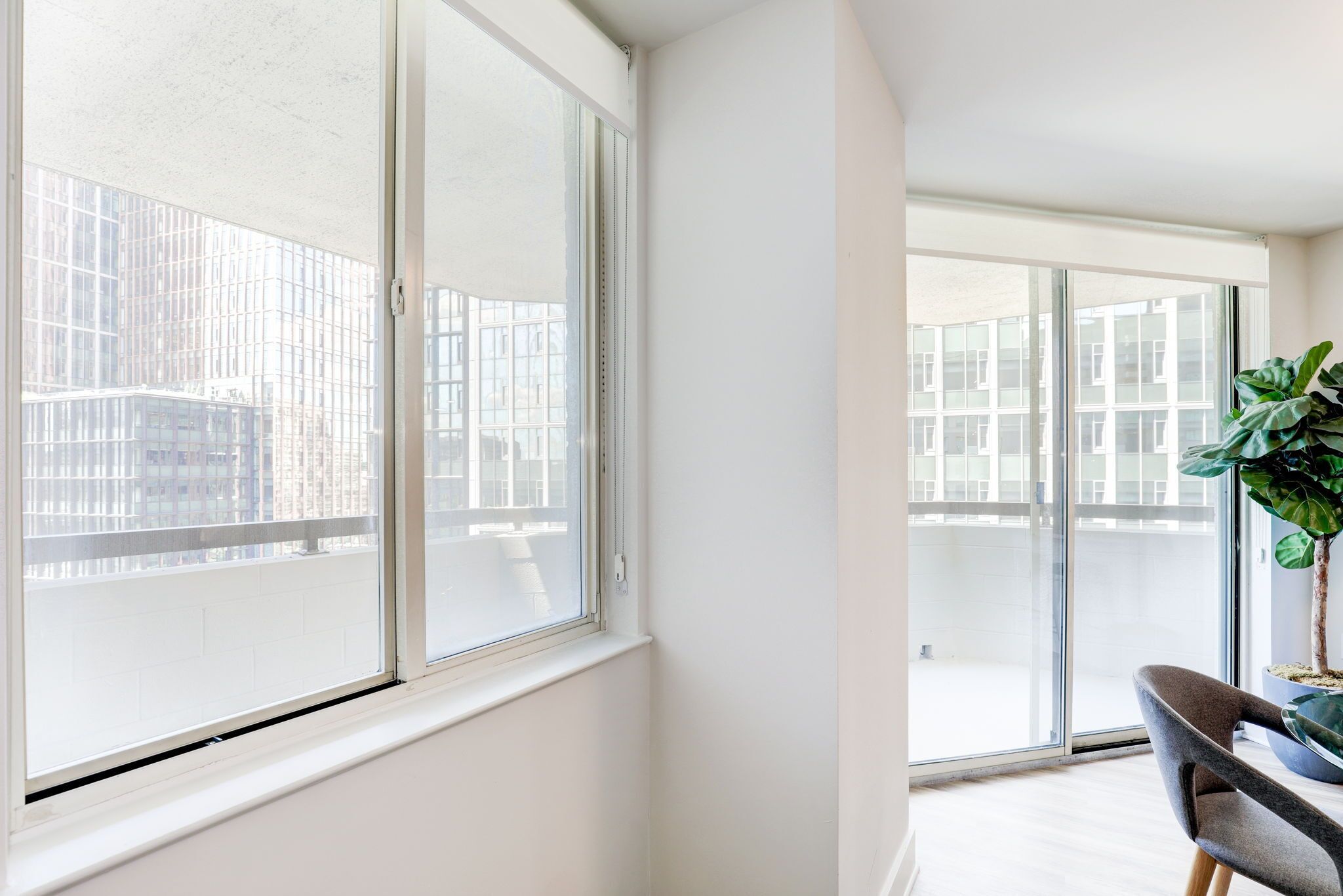 A modern apartment with large windows, a dining area, and a potted plant.