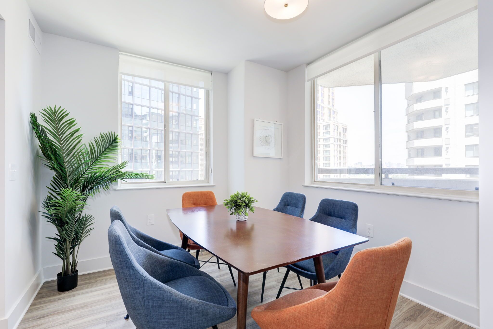 A conference room with a wooden table, six chairs, and a potted plant.
