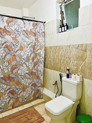Regadera, bidet, toallas, jabón 