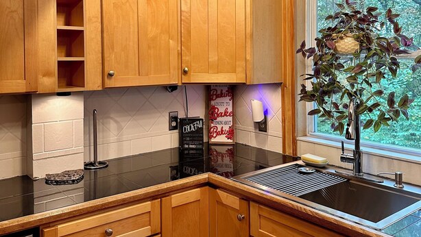 A kitchen with wooden cabinets, a black countertop, a sink, and a window with a view of trees.