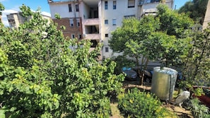Apartamento, 1 habitación, balcón | Vistas al jardín