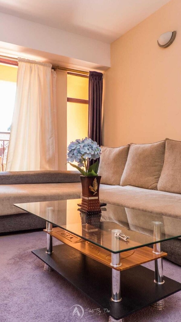 Appartement Confort, vue sur la ville | Aire de séjour | Téléviseur connecté de 24 po avec télévision numérique