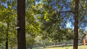 Ein von einer Hecke umgebenes Parkareal mit Bäumen und einem Schild, das das Füttern oder Anfassen der Pferde verbietet.