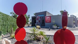 Uklassifisert bilde, 4 av 16, knapp