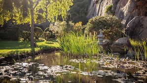 A serene pond with lily pads and reeds, surrounded by rocks and trees. - Love Garden (Tarifa)