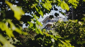 A modern building with a glass facade partially obscured by dense green foliage. - Pueblo Spacerkiem Brd na Stary Rynek Gara (Bydgoszcz)
