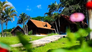 A wooden house with a tiled roof, surrounded by lush greenery and palm trees. - Recanto das Águas (Eldorado)
