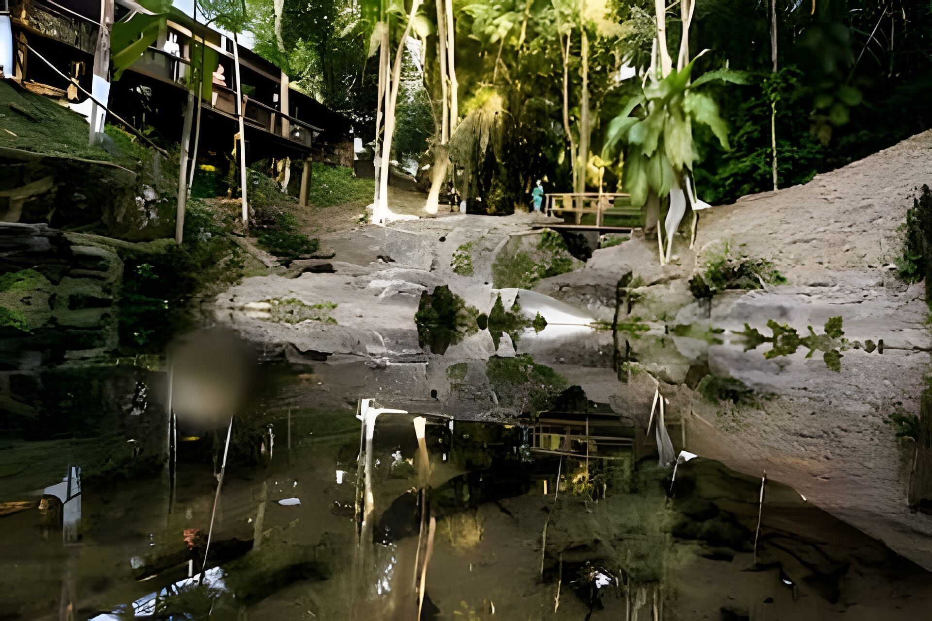 A natural landscape with a pond, rocky terrain, and a wooden bridge.