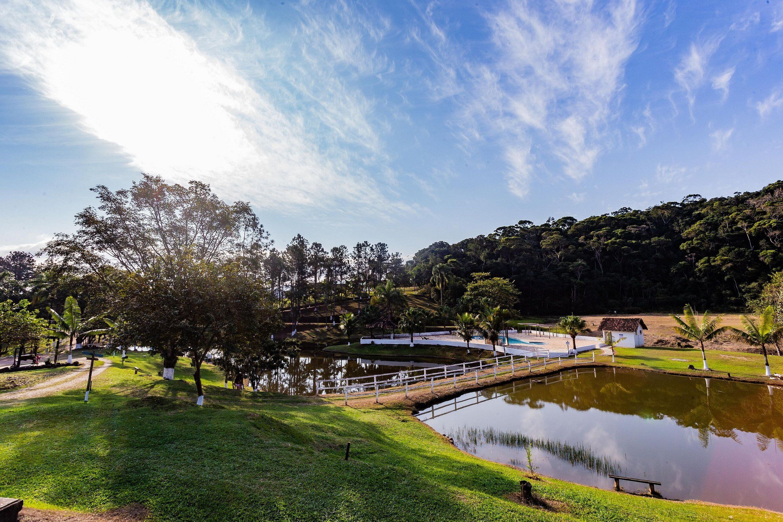 A park with a pond, pathways, and trees.