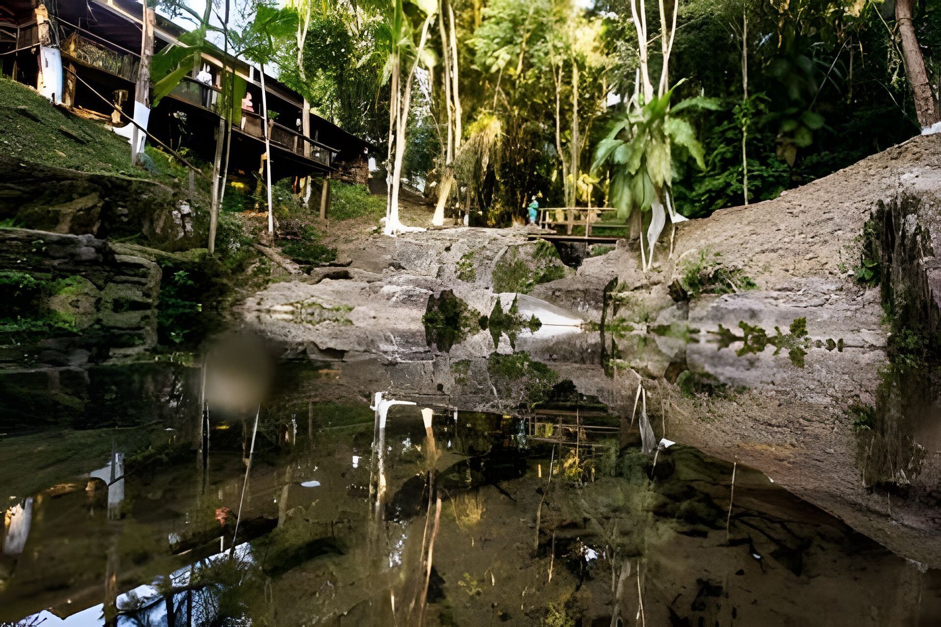 Un entorno natural con un estanque, terreno rocoso y un puente de madera.