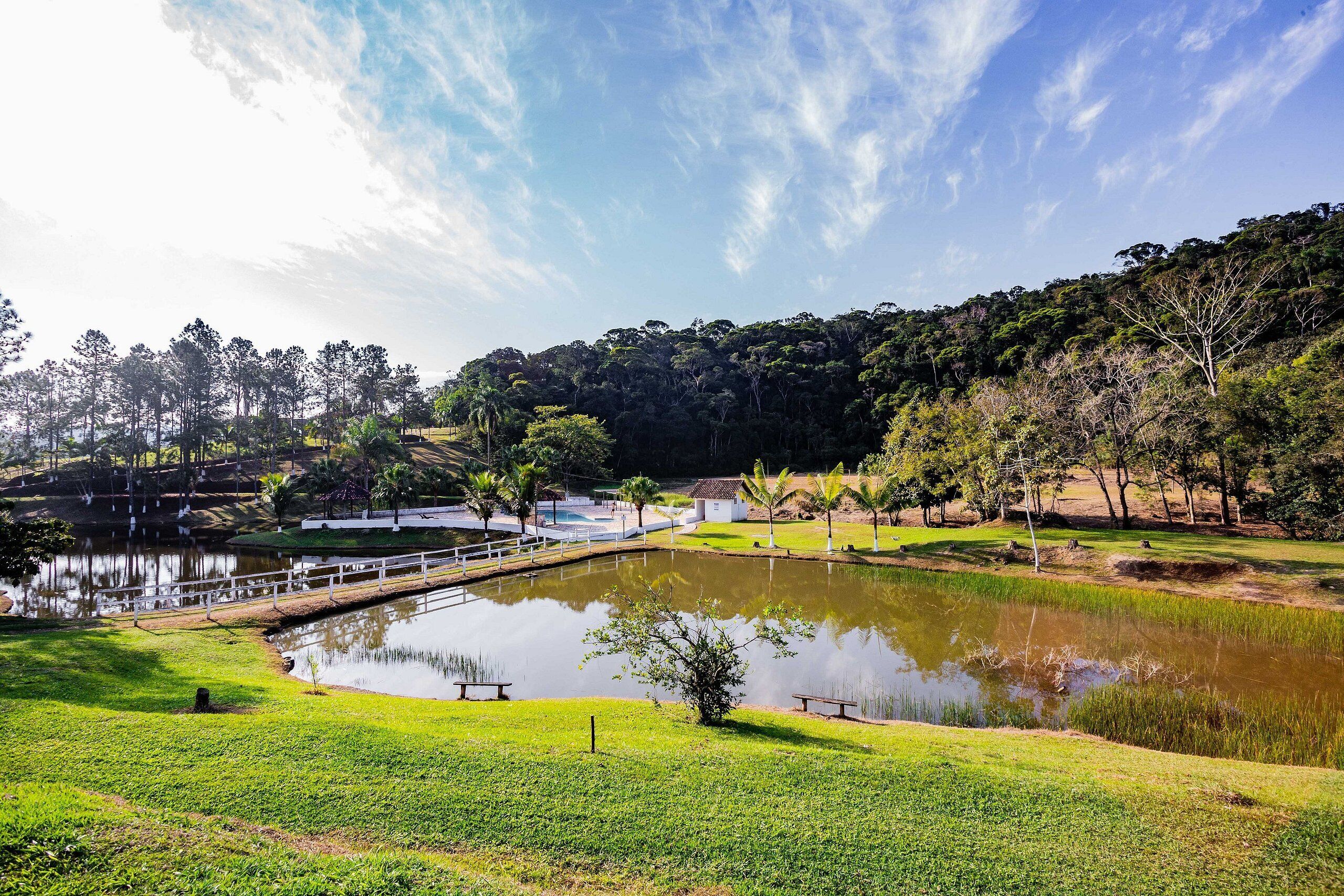 A serene landscape with a pond, grassy areas, and trees.