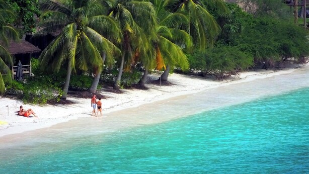 A beach with white sand, turquoise water, and palm trees. - Peaceful Seaview Bungalow Koh Tao Snorkeling and Relaxing Paradise Sharkbay (Koh Tao)