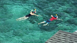 Two people swimming in clear water. - Peaceful Seaview Bungalow Koh Tao Snorkeling and Relaxing Paradise Sharkbay (Koh Tao)