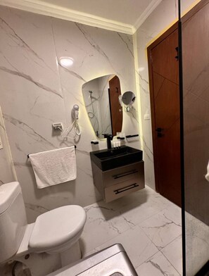 Hair dryer, bidet, towels