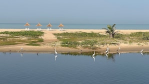 A beach with thatched umbrellas, a sandy shore, and a calm water body with birds. - La Parenthèse (Mbodiène)