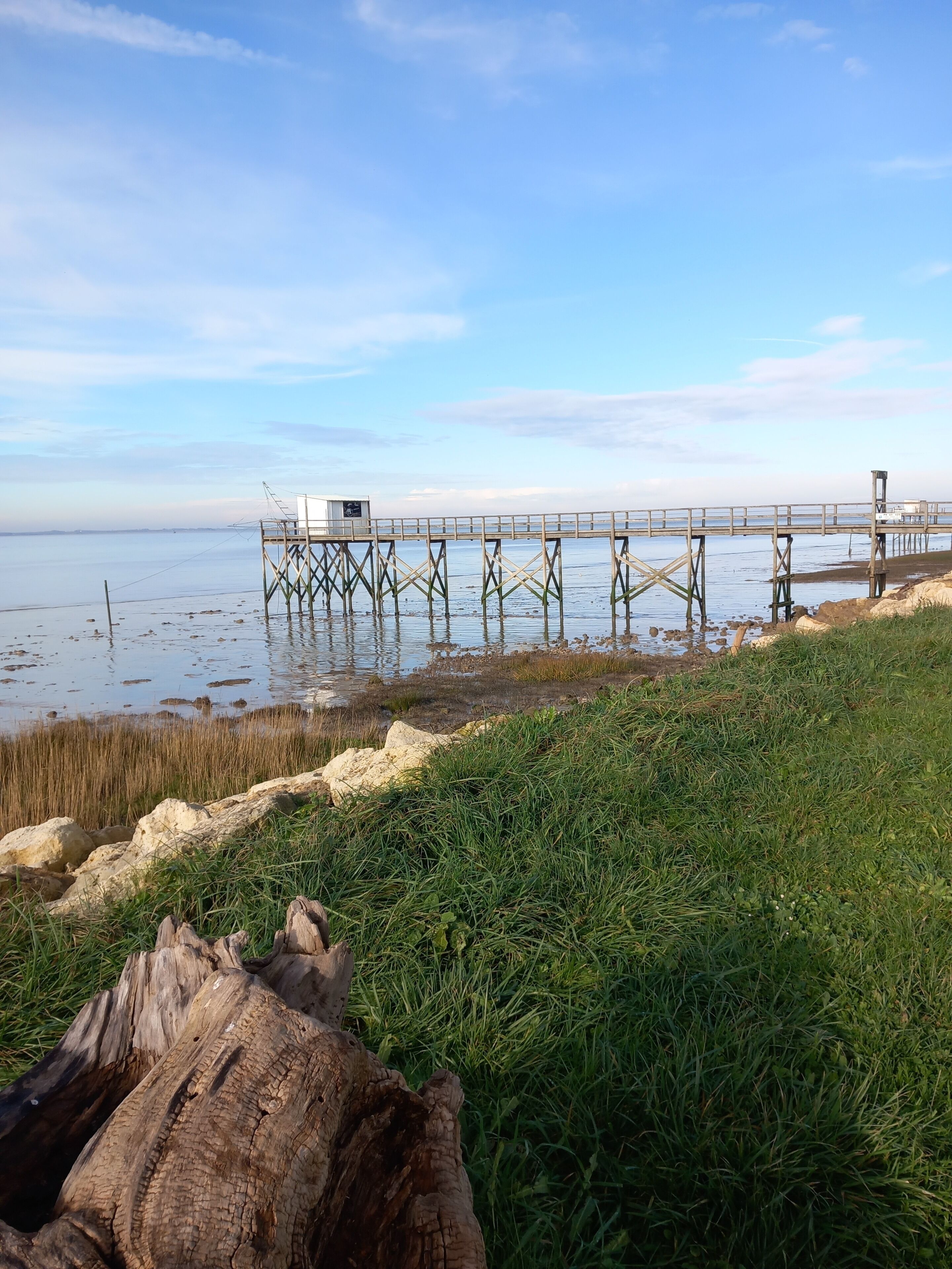 A wooden pier extending into calm waters, with a grassy area in the foreground.
