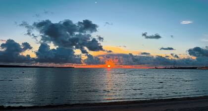 Lux & Cozy Escape in The Ecological Heart Of Tallinn City