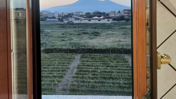 Blick durch eine Tür mit einer gefliesten Wand, der auf ein Feld mit einem Berg im Hintergrund führt.