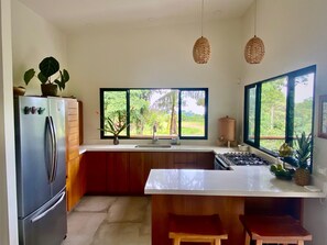 Fridge, oven, stovetop, coffee/tea maker