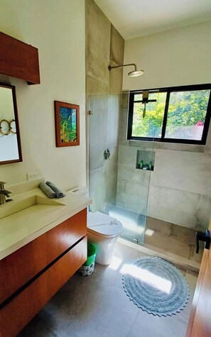 Shower, jetted tub, hair dryer, towels