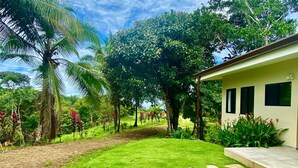 A well-maintained garden with a lawn, stepping stones, and a variety of tropical plants.
