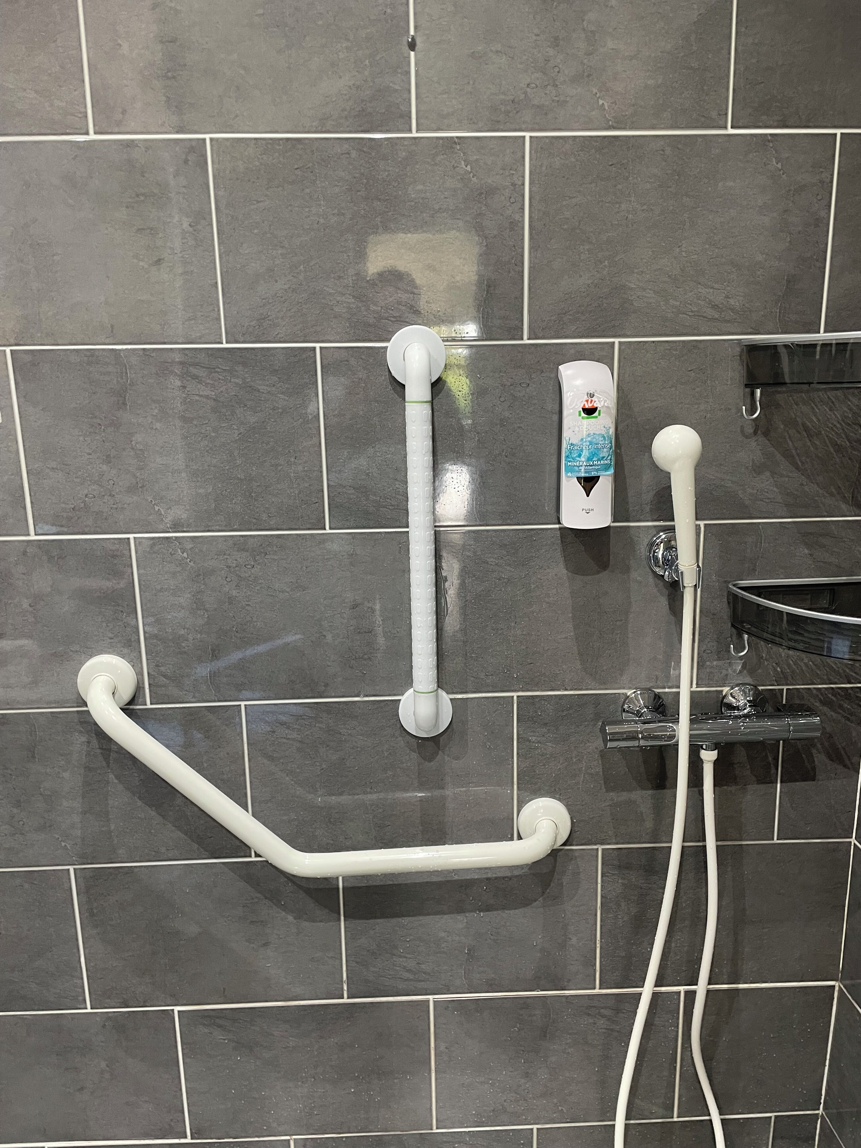 Een douchegedeelte met een handdouche, een douchehouder en een douche slang.