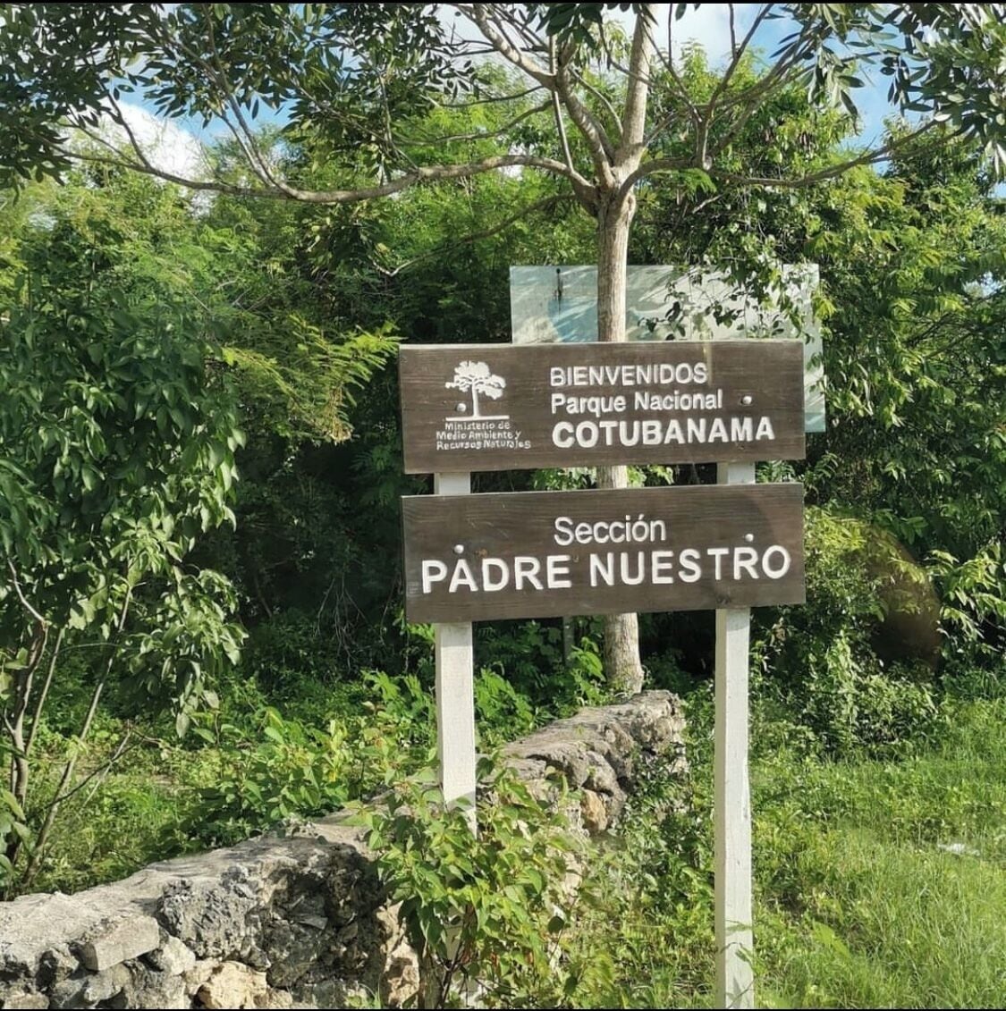 Foto - All Seasons Hotel