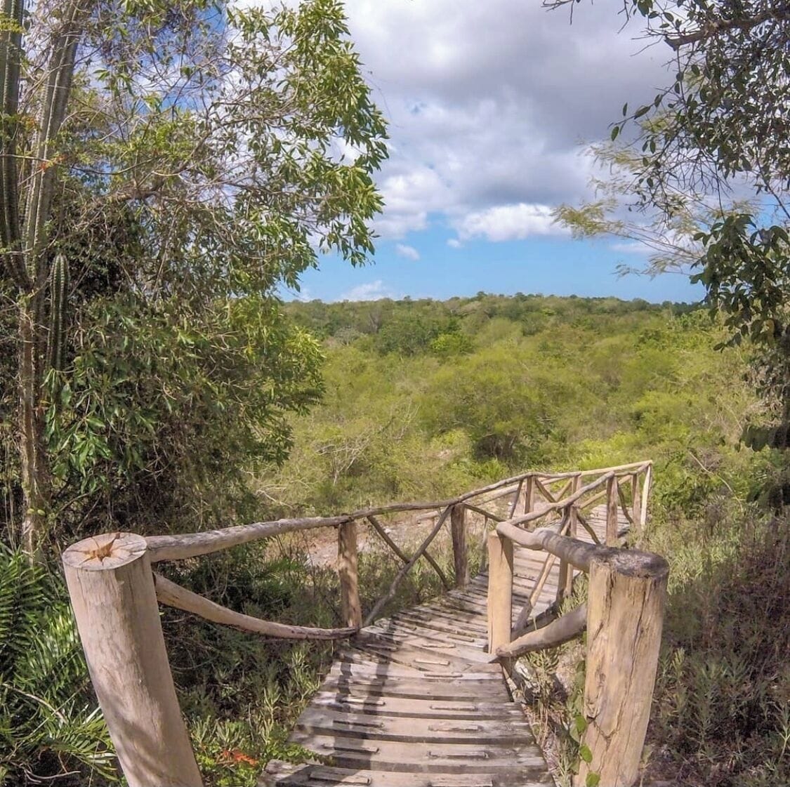 Foto - All Seasons Hotel