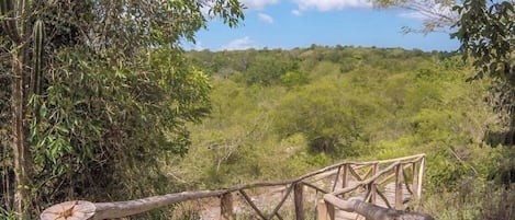 Un pont en bois, doté de garde-corps, qui traverse un paysage naturel.