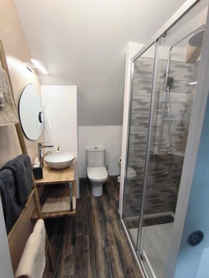 Shower, hair dryer, towels, toilet paper