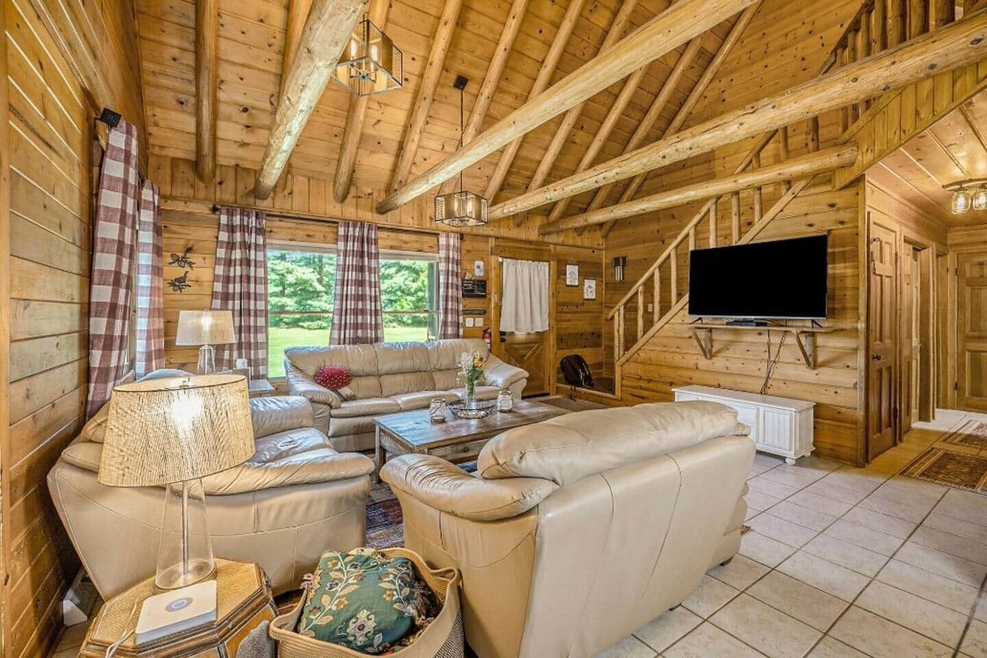 Smart TV, fireplace, DVD player, books