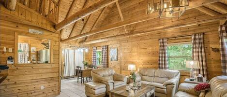 Smart TV, lareira, DVD player, livros